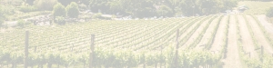 Vignoble Provence distribution logistique